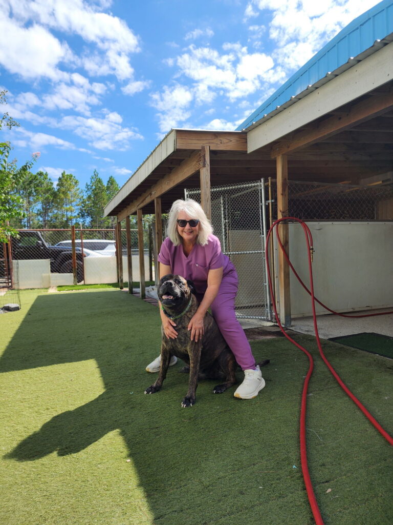 Emerald Coast Kennel team member posing with a brindle dog in the outdoor play yard.